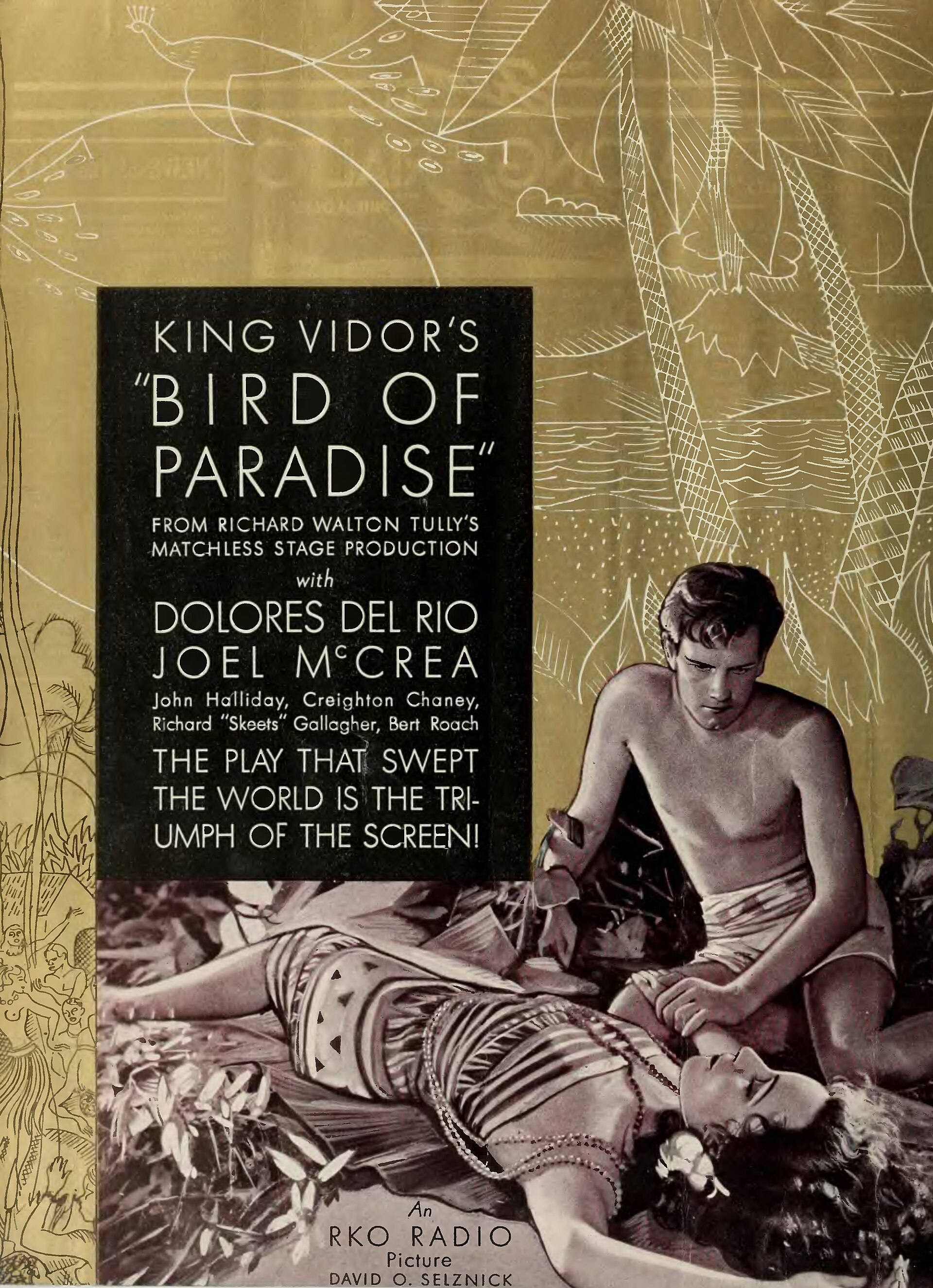 Imagem de referência relacionada a Bird of Paradise, item descrito como filme de 1932 dirigido por King Vidor