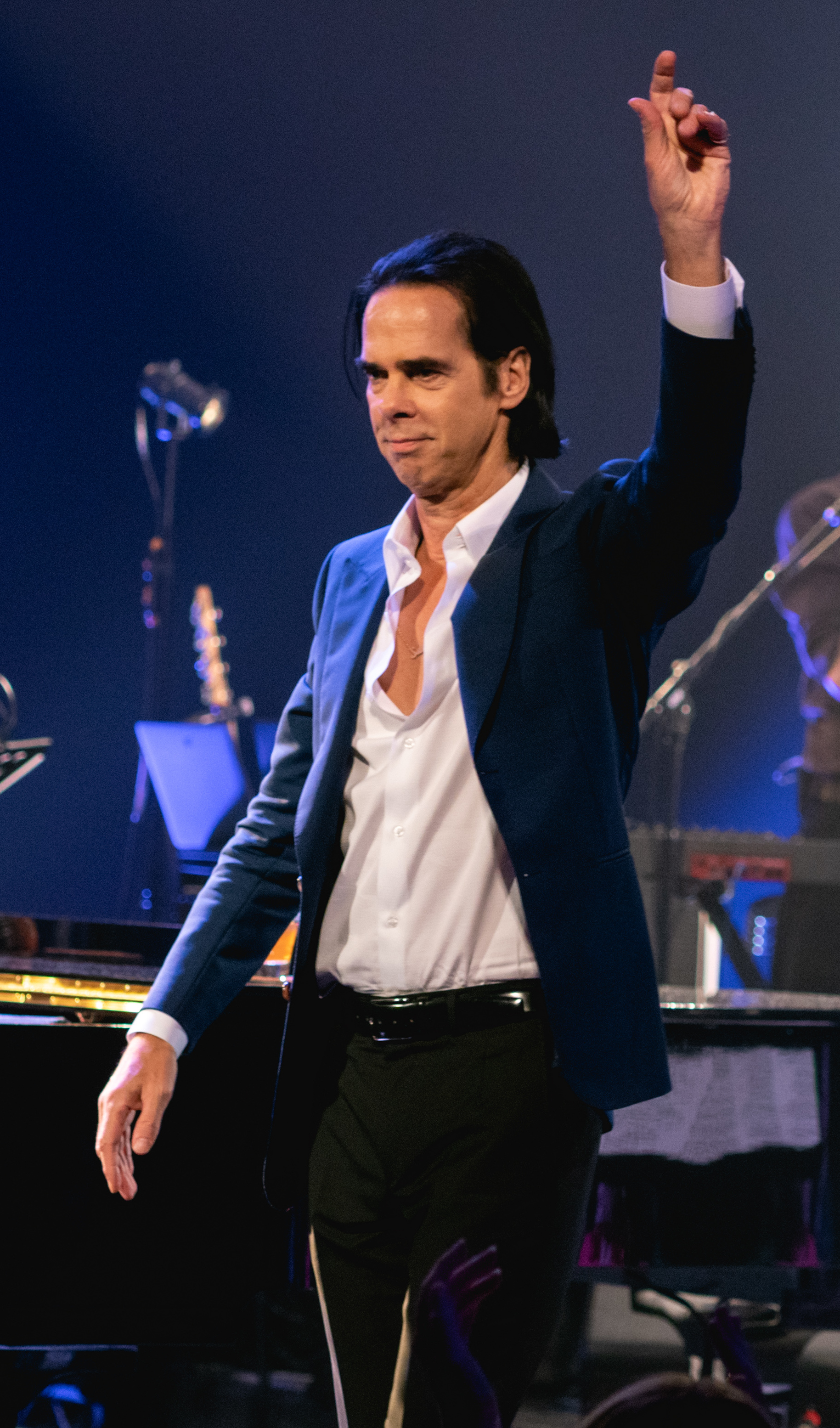 Imagem de referência de Nick Cave, descrito nos dados abertos como músico, compositor, autor, argumentista, ator australiano