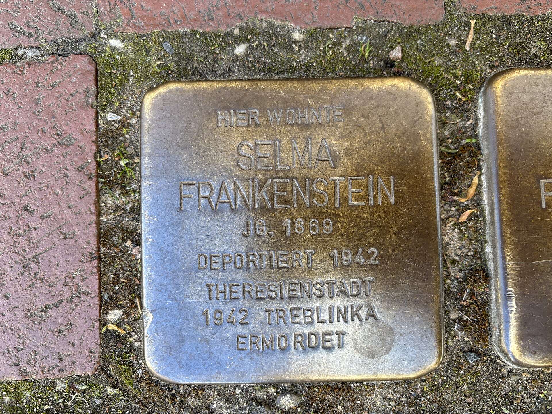 Imagem de referência de Stolperstein para Selma Frankenstein, descrito nos dados abertos como stolperstein em Hameln, Alemanha