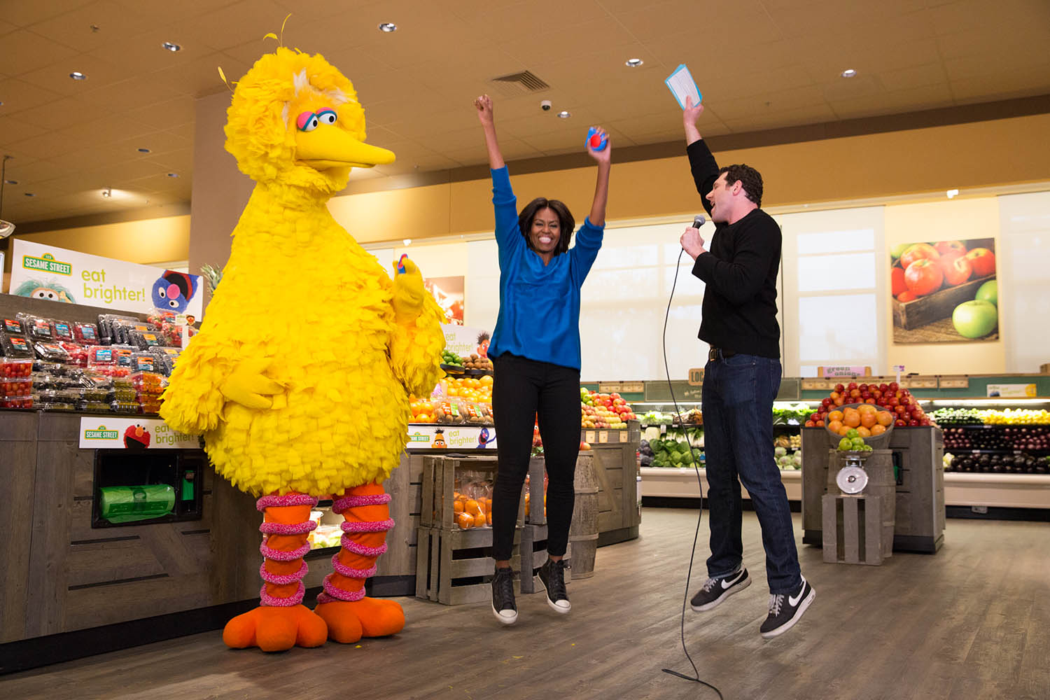 Imagem de referência de Big Bird, descrito nos dados abertos como personagem da Rua Sésamo