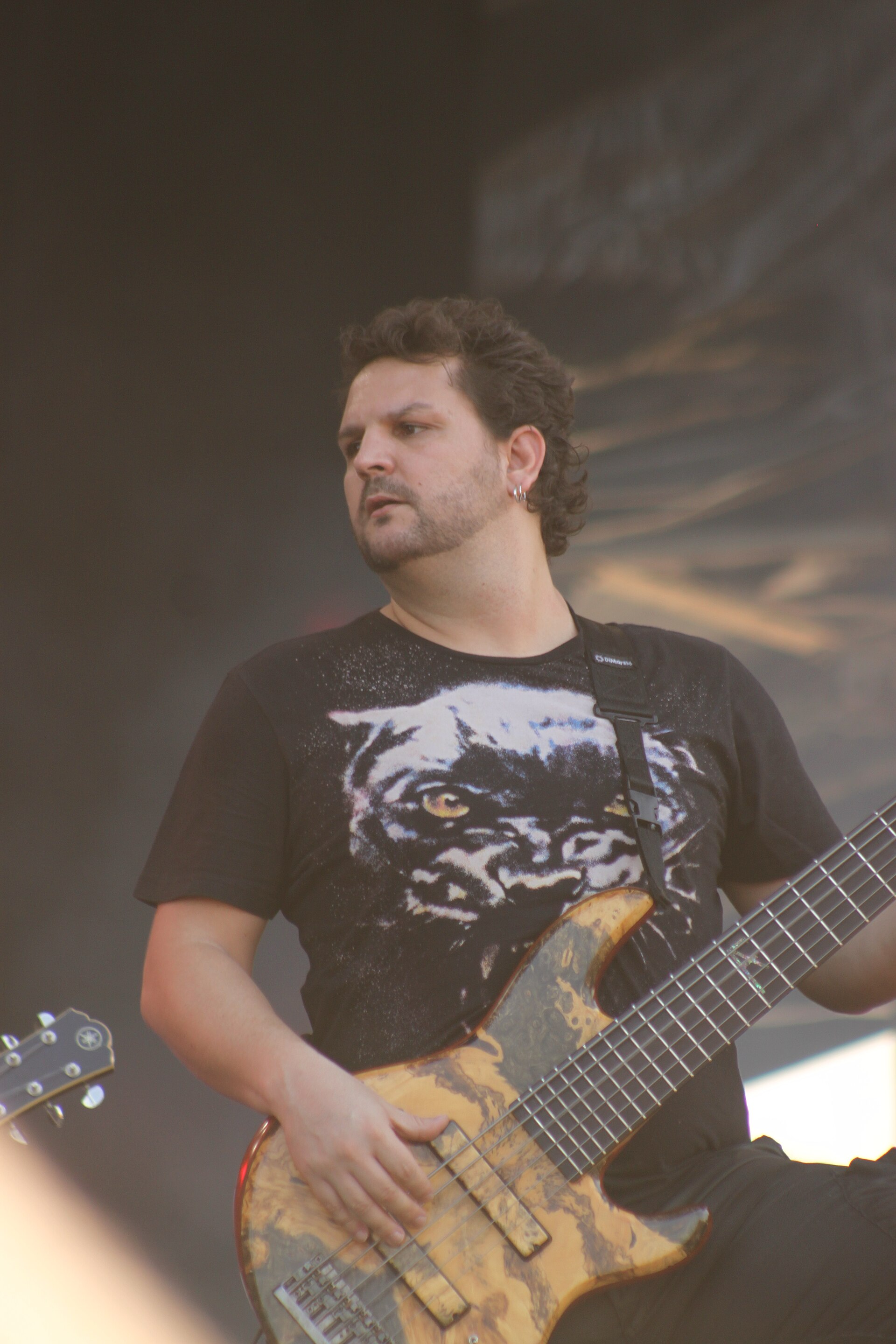 Imagem de referência de Felipe Andreoli, descrito nos dados abertos como músico e produtor musical brasileiro
