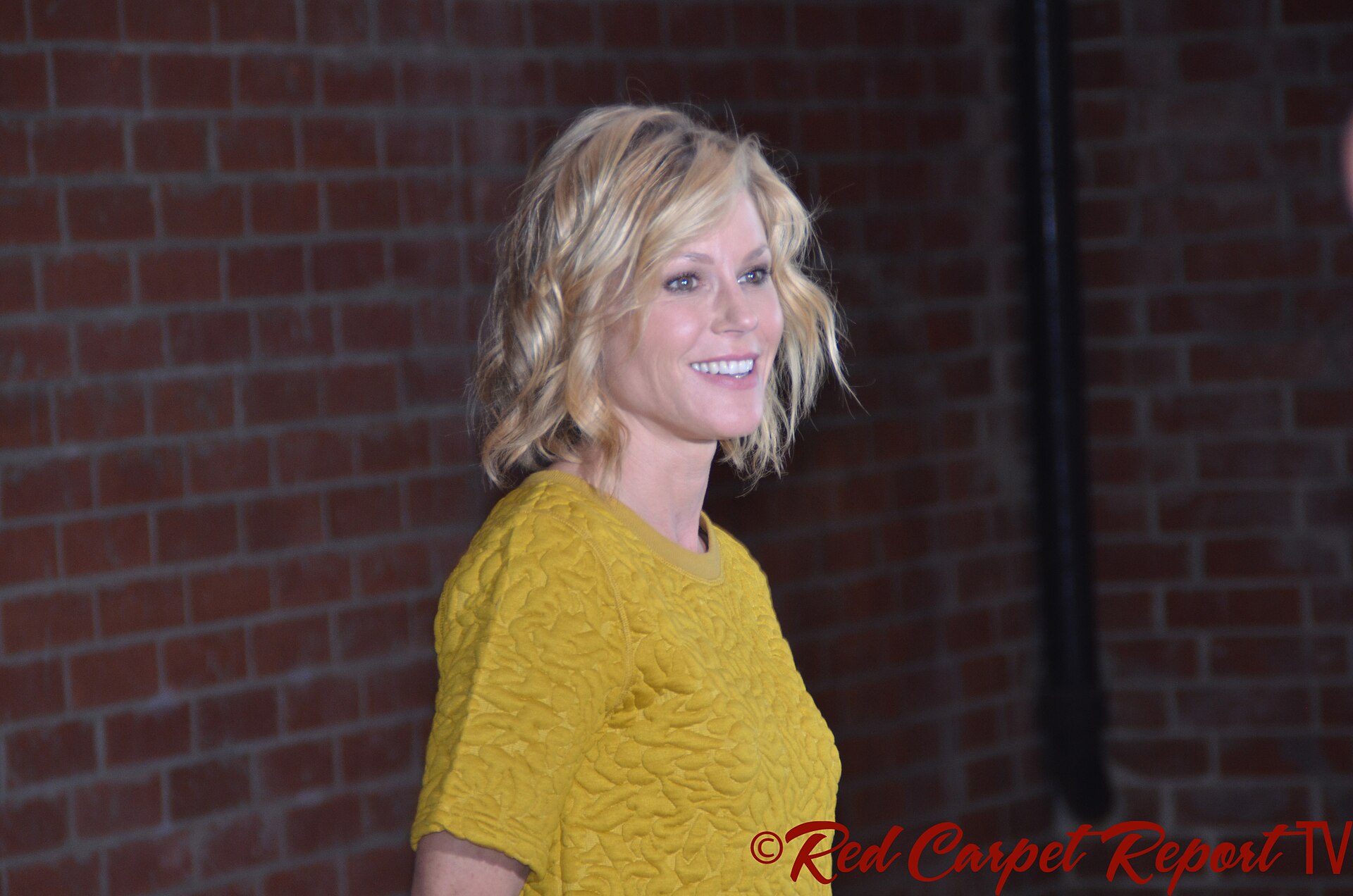 Imagem de referência relacionada a Julie Bowen, item descrito como registro de referência sobre Julie Bowen, organizado a partir de dados estruturados abertos