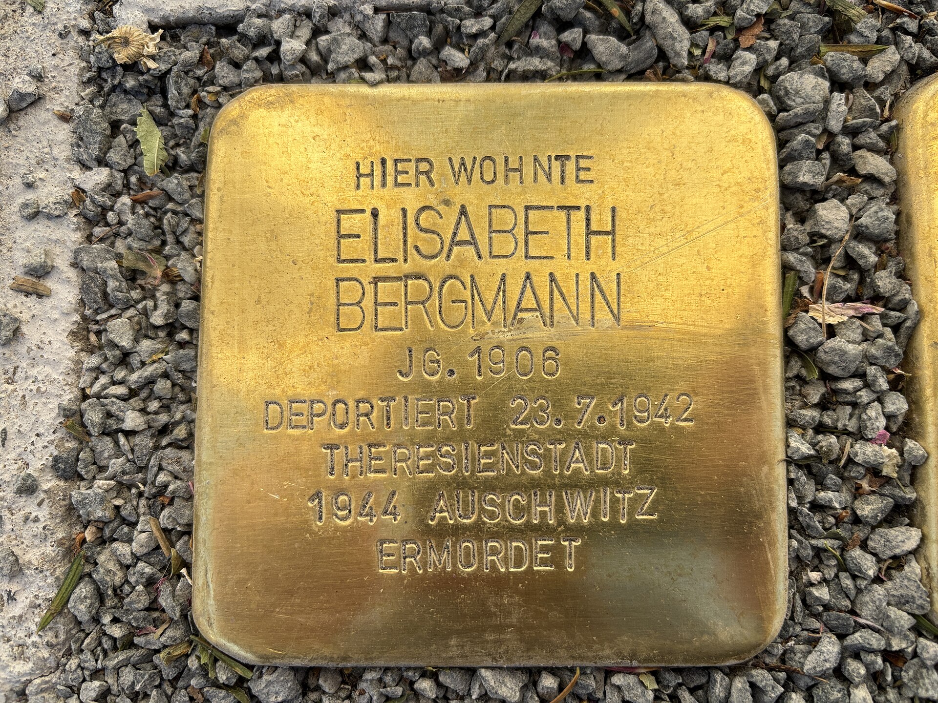 Imagem de referência de Stolperstein em memória de Elisabeth Bergmann, descrito nos dados abertos como stolperstein em Hannover, Alemanha