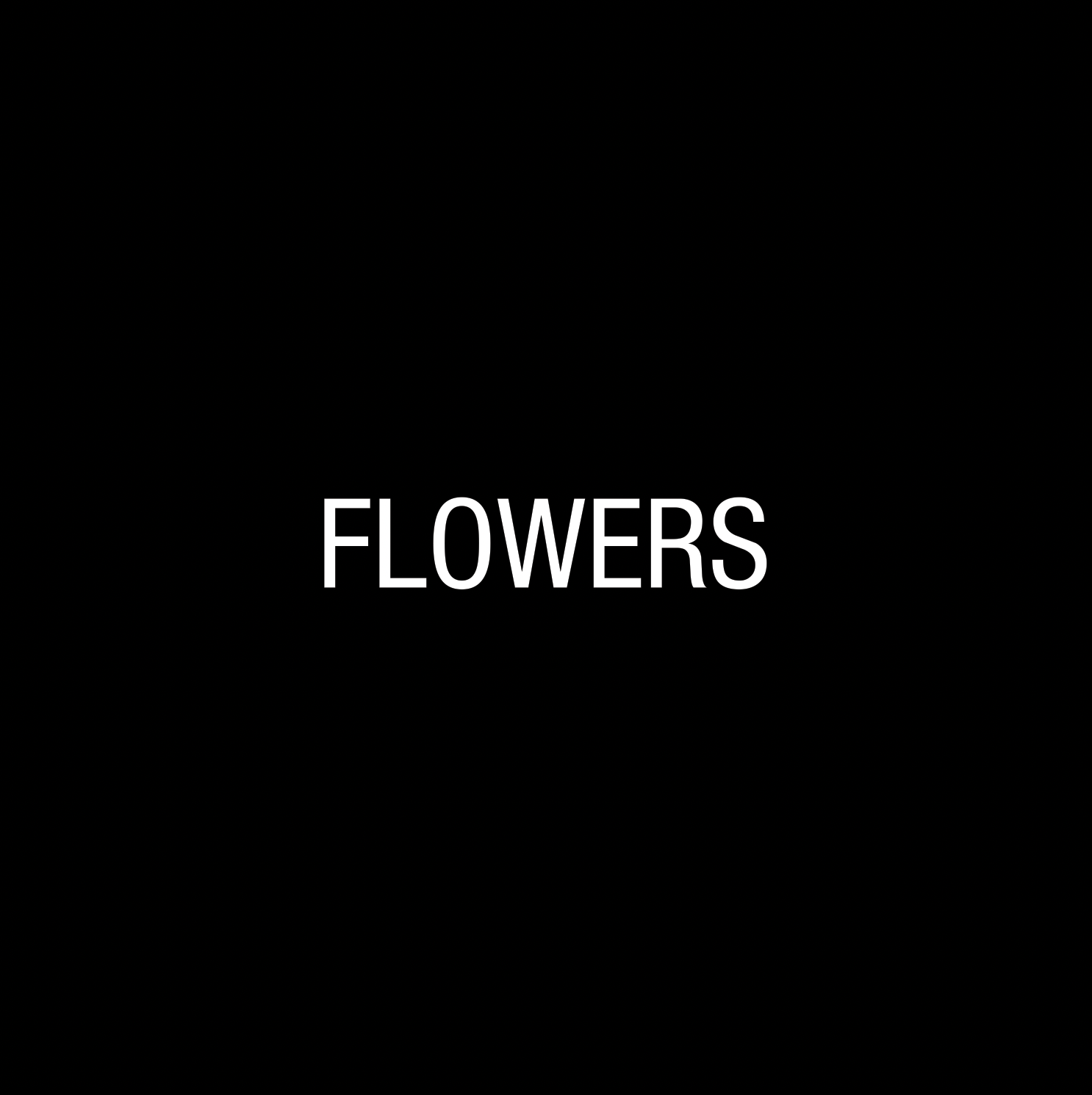 Imagem de referência de Flowers, descrito nos dados abertos como single de Miley Cyrus de 2023
