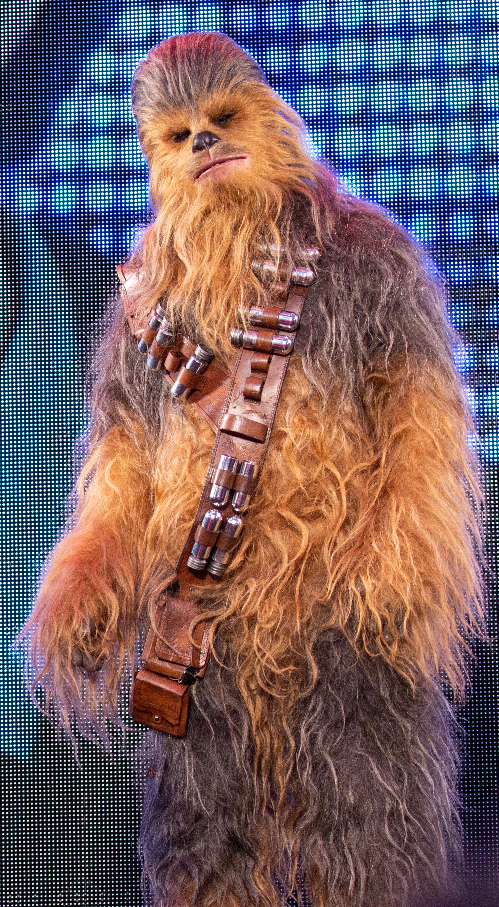 Imagem de referência de Chewbacca, descrito nos dados abertos como personagem da franquia Star Wars