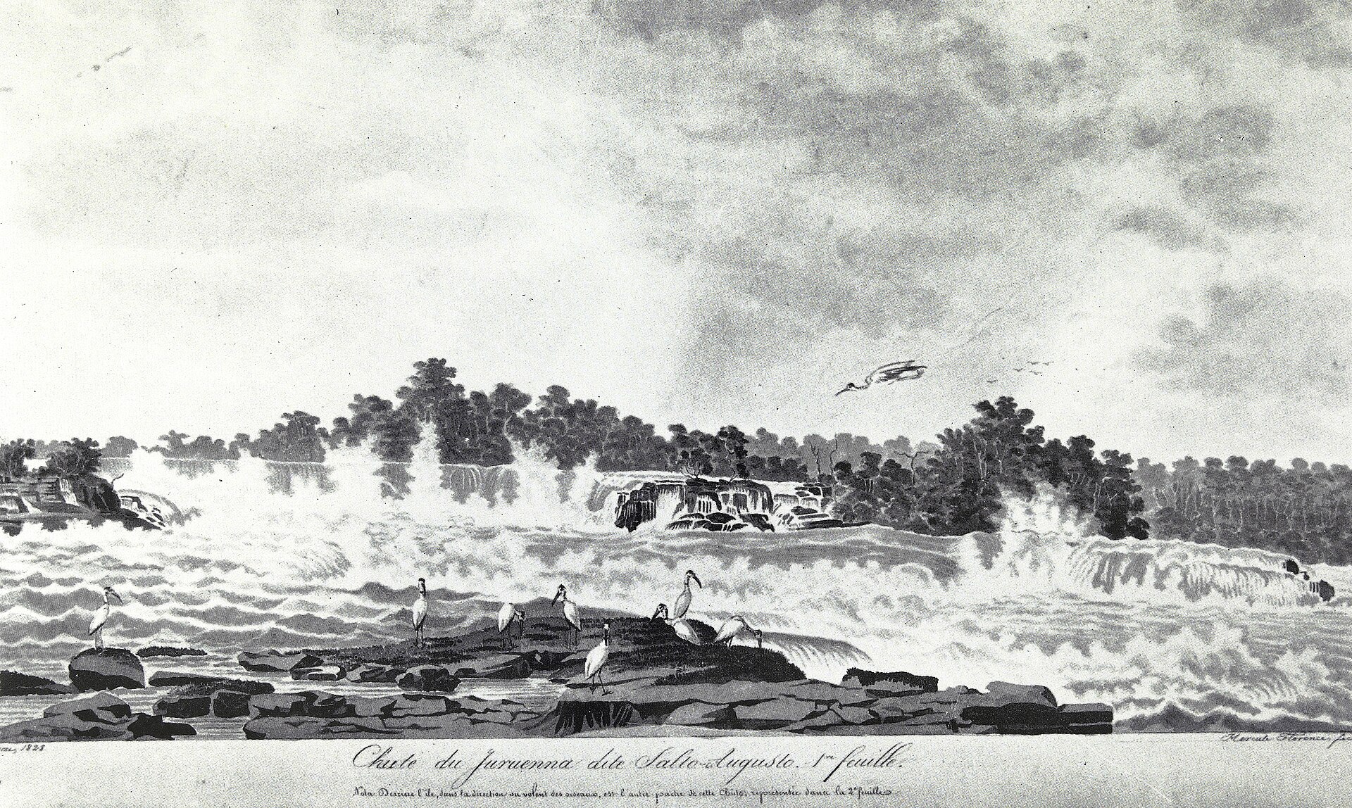 Imagem de referência de Chute du Juruenna dite Salto-Augusto. 2.me feuille. Mai, 1828. Hercule Florence., descrito nos dados abertos como obra do acervo do Instituto Hercule Florence
