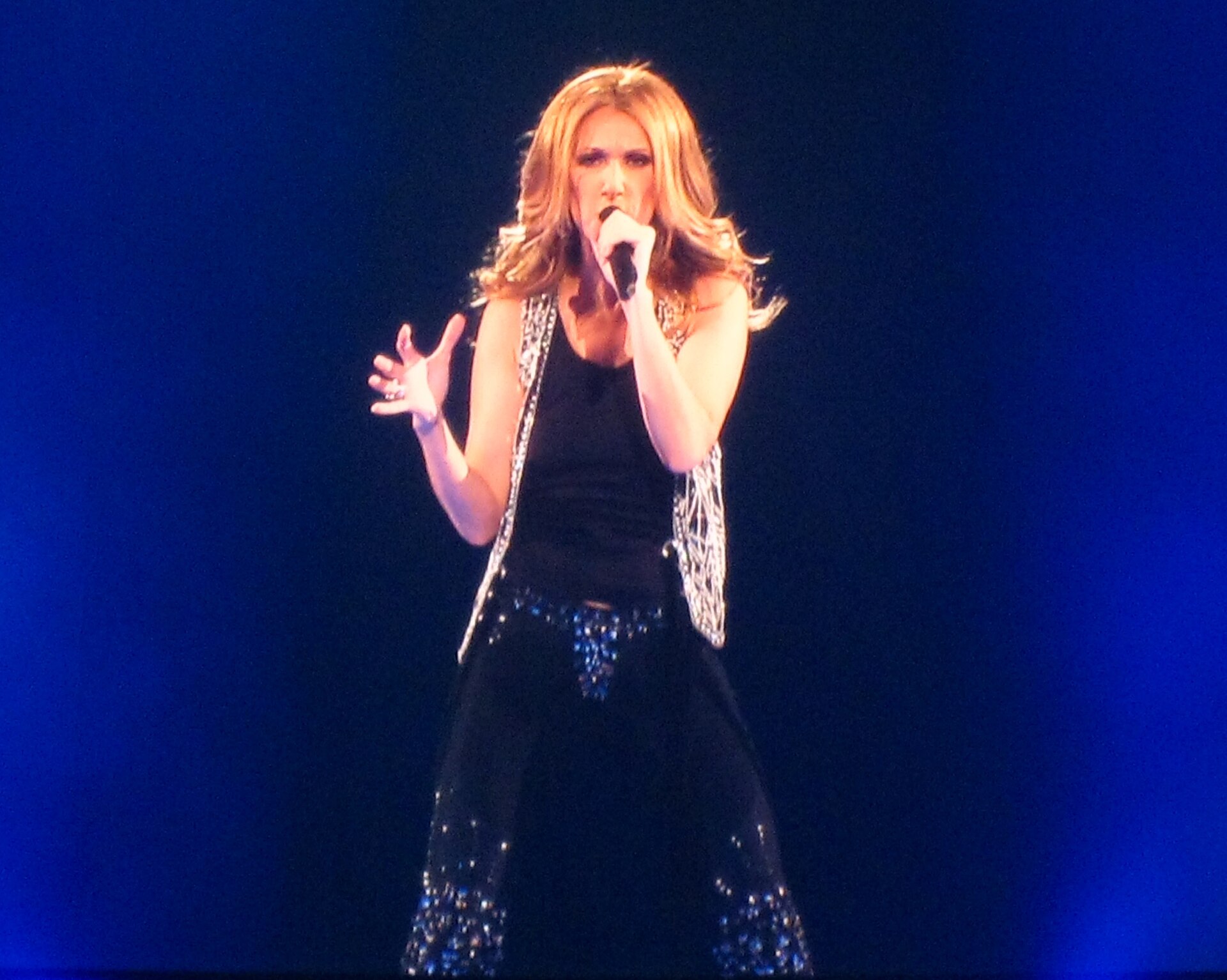 Imagem de referência relacionada a Céline Dion, item descrito como cantora e compositora canadense