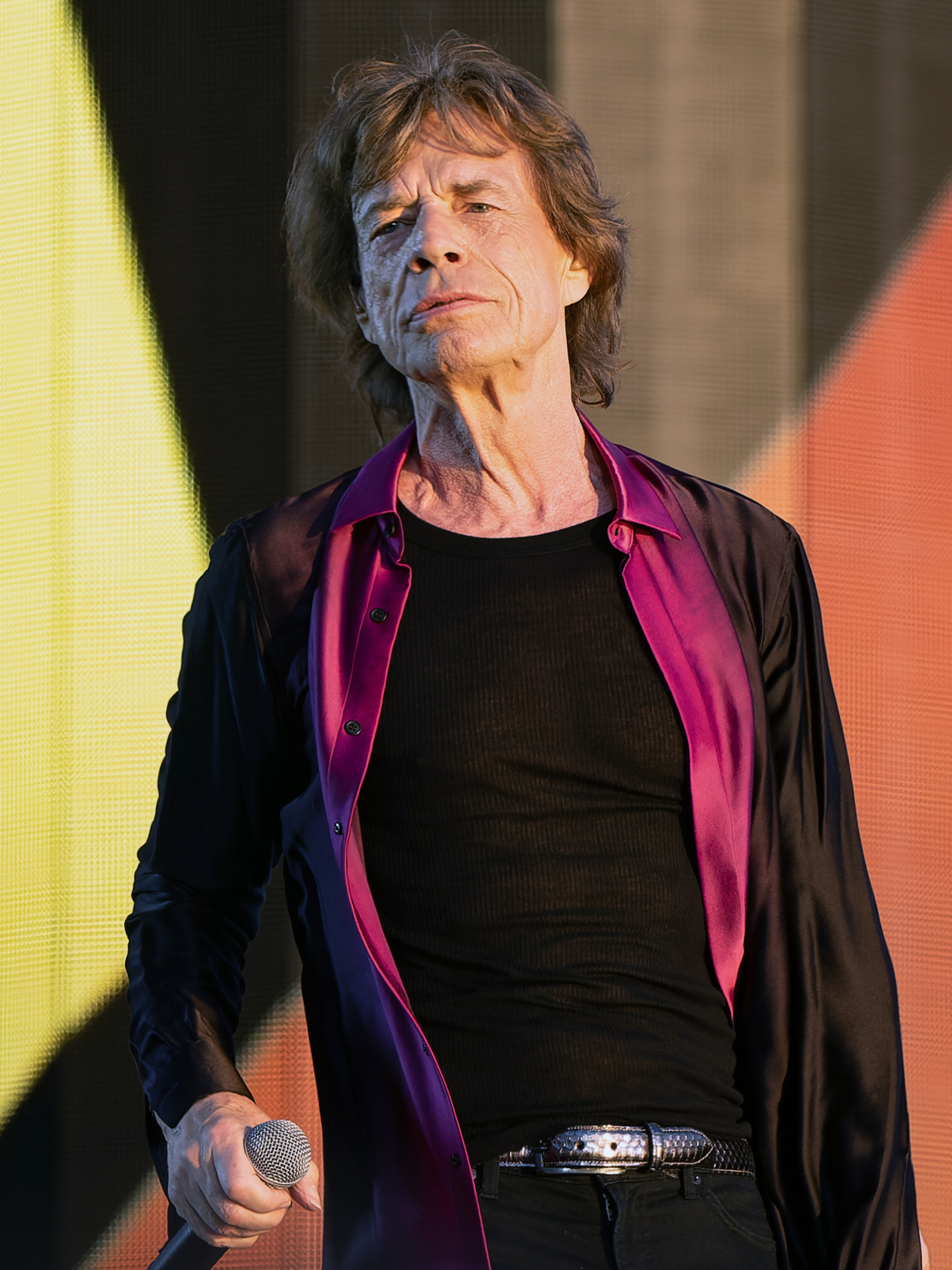 Imagem de referência de Mick Jagger, descrito nos dados abertos como cantor britânico