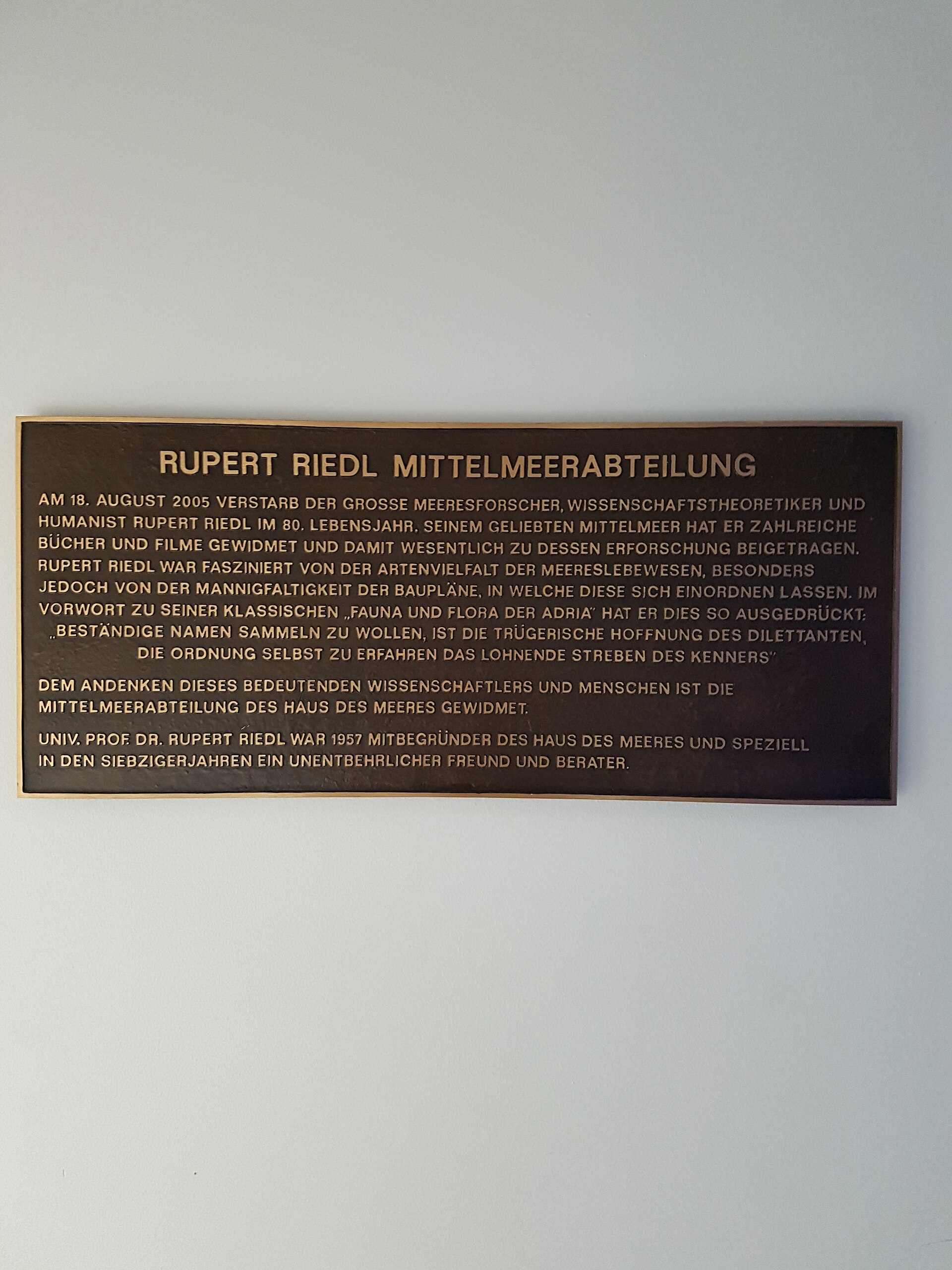 Imagem de referência relacionada a Rupert Riedl, item descrito como registro de referência sobre Rupert Riedl, organizado a partir de dados estruturados abertos