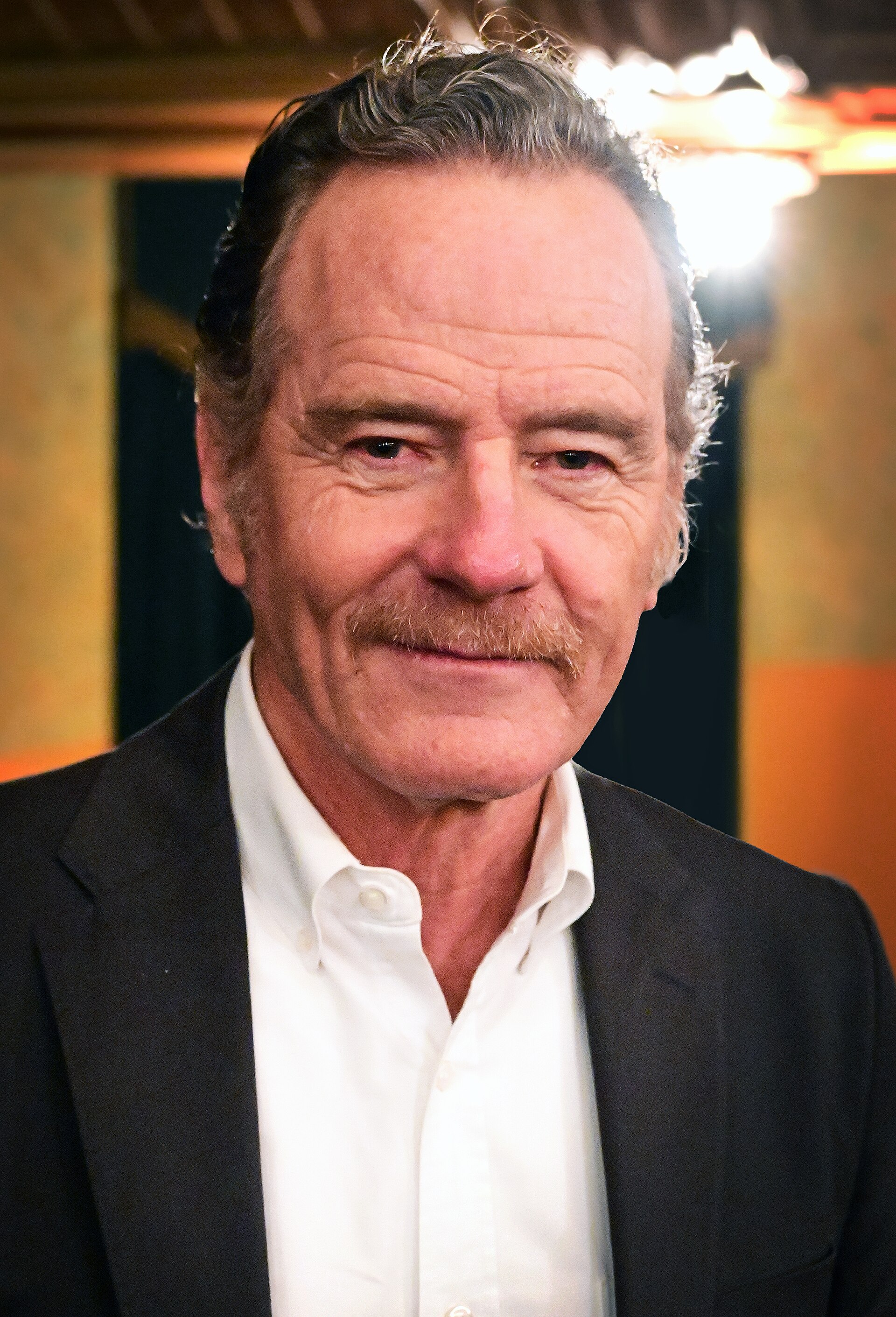 Imagem de referência de Bryan Cranston, descrito nos dados abertos como ator americano