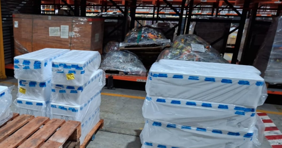 Receita Federal e Ibama apreendem 667 kg de pescado sem origem comprovada no Aeroporto do Galeão, no Rio