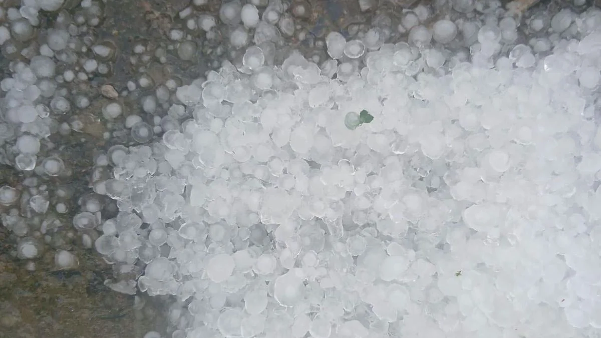 467 cidades de MG estão sob alerta de tempestade nesta quarta (9/9); veja