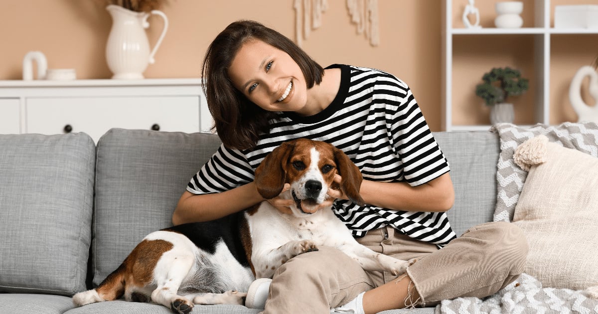 Seu cachorro realmente gosta de ser tratado como filho? 5 sinais de quando o vínculo pode ir longe demais