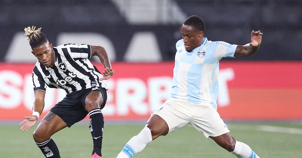 Danilo faz dois e garante vitória do Botafogo sobre Grêmio de Felipão e Renato sob olhar de Tite