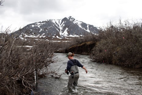 A man in waders in a river in Alaska, with a big mountain in front of him