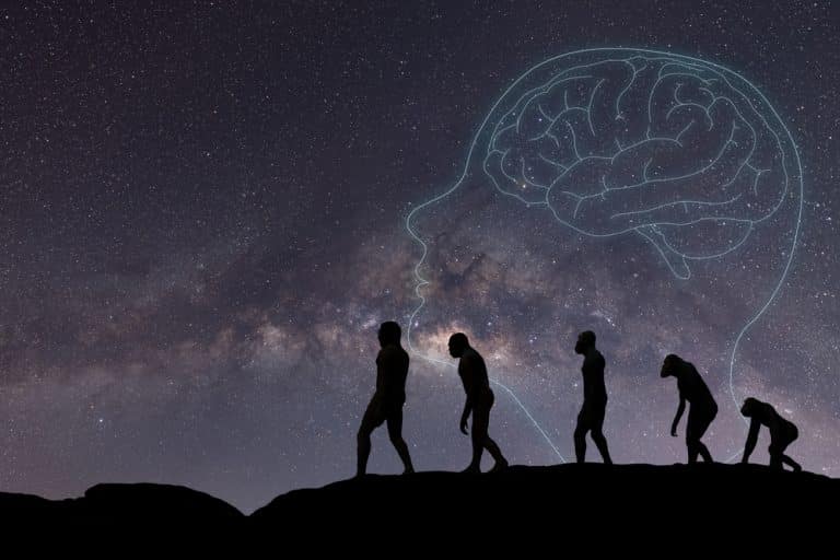 Reconstrução digital revela como poderiam ser os primeiros Homo sapiens que viveram há cerca de 315 mil anos