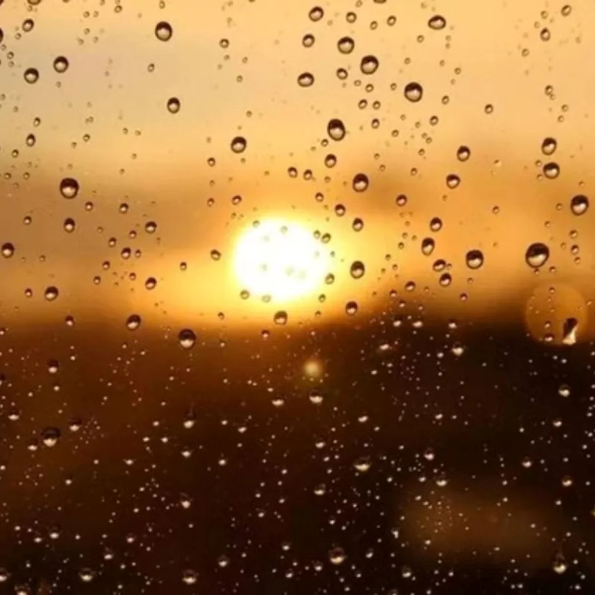 Primavera em SP terá calor intenso e temporais frequentes, diz Defesa Civil
