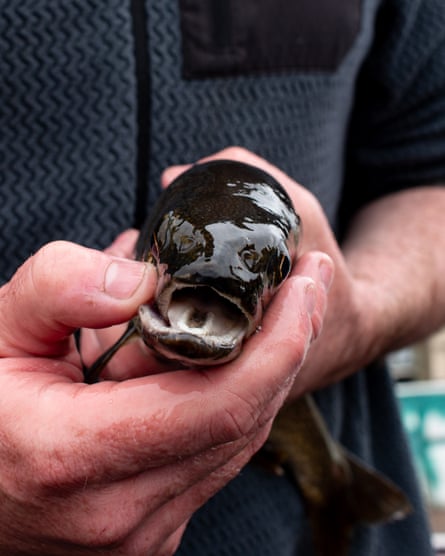 a person holding a fish