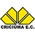 Imagem da matéria: Com 11 ausências, Abel recorre à base durante treinos na Data Fifa