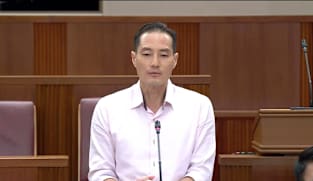 Tan Kiat How on prohibited political advocacy by performing artistes
