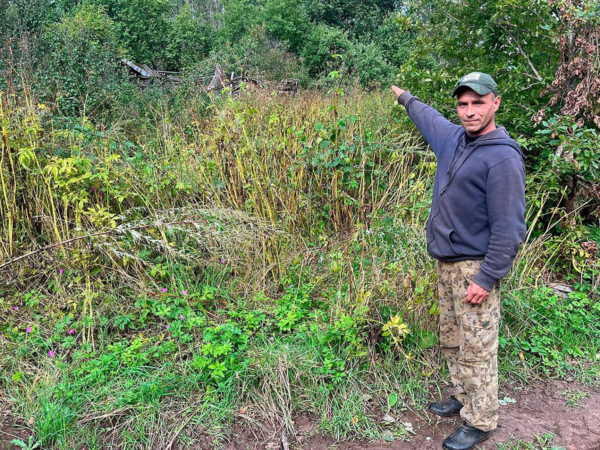 Os habitantes desapareciam um por um, a aldeia ficou vazia em um ano: o que se passa na Aldeia dos Mortos no isolamento de Pskov, onde uma mulher maníaca operava silenciosamente
