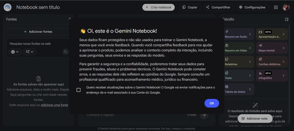 Na primeira entrada, o Gemini Notebook apresenta informações sobre privacidade, segurança e uso dos dados antes de liberar o acesso à interface — Foto: Reprodução/Gemini Notebook