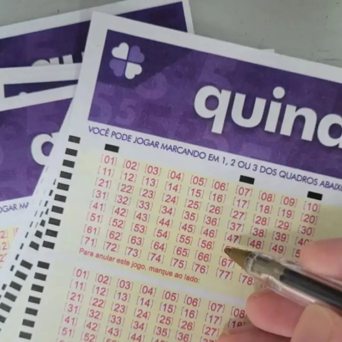 Veja o resultado da Quina 7113, sorteada nesta quarta-feira (9/9)