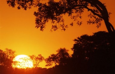 Primavera no Brasil: estação traz chuvas intensas e altas temperaturas; veja a previsão completa