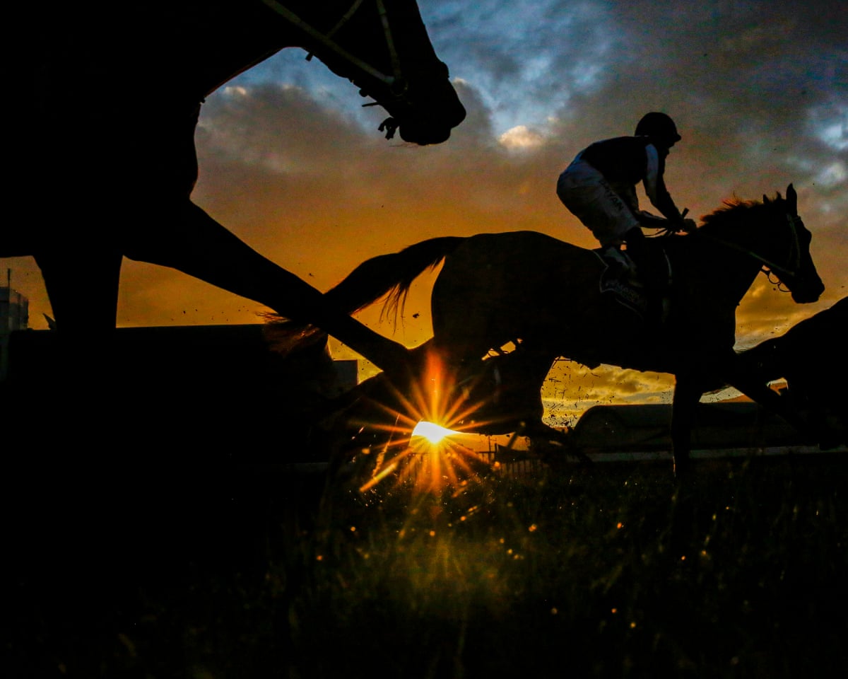 O US Jockey Club ordena que o cavalo de corrida Austrian Painter seja renomeado devido à referência a Hitler