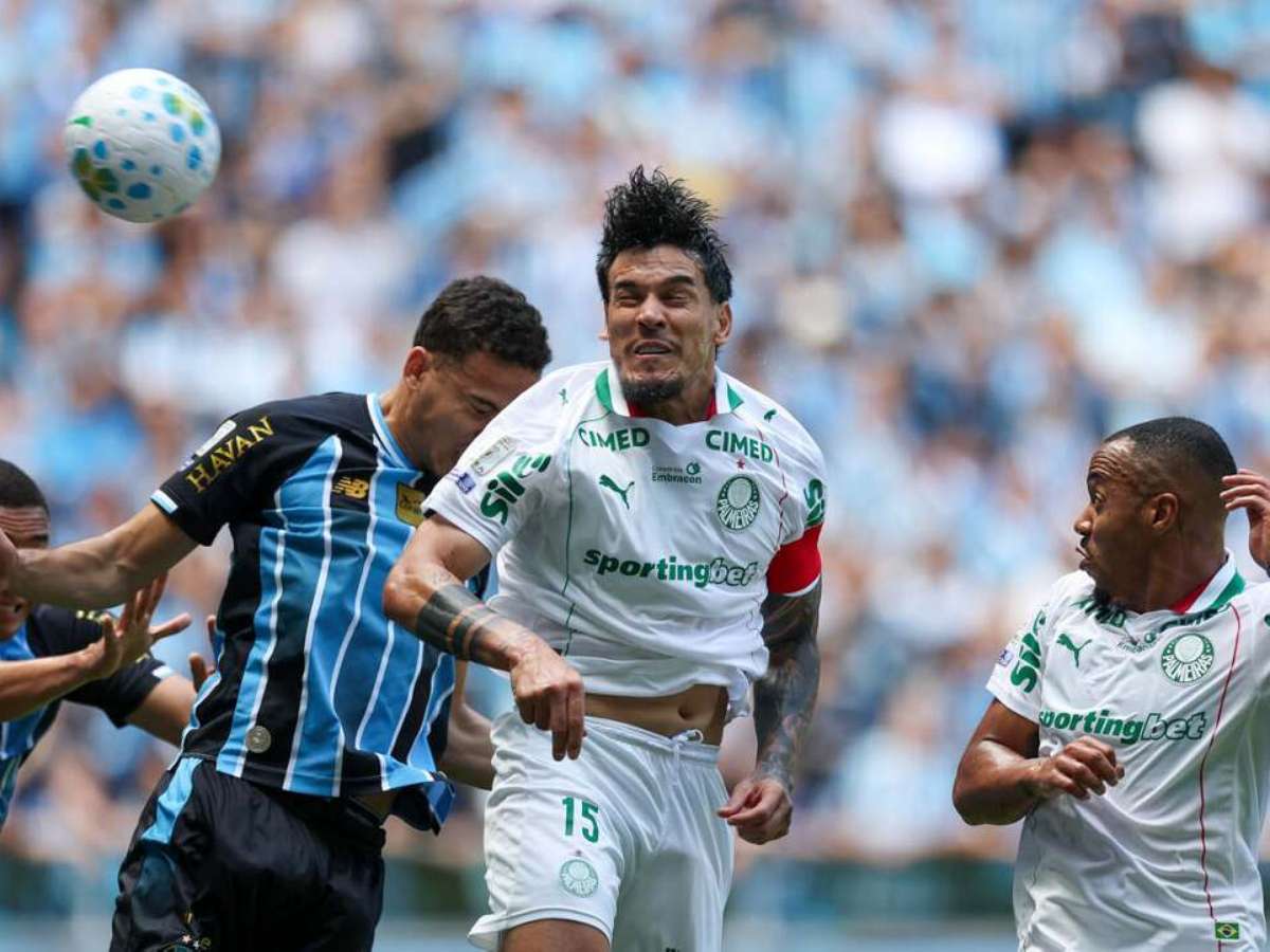 Auxiliar do Palmeiras minimiza empate com o Grêmio: "Faltam 16 jogos"