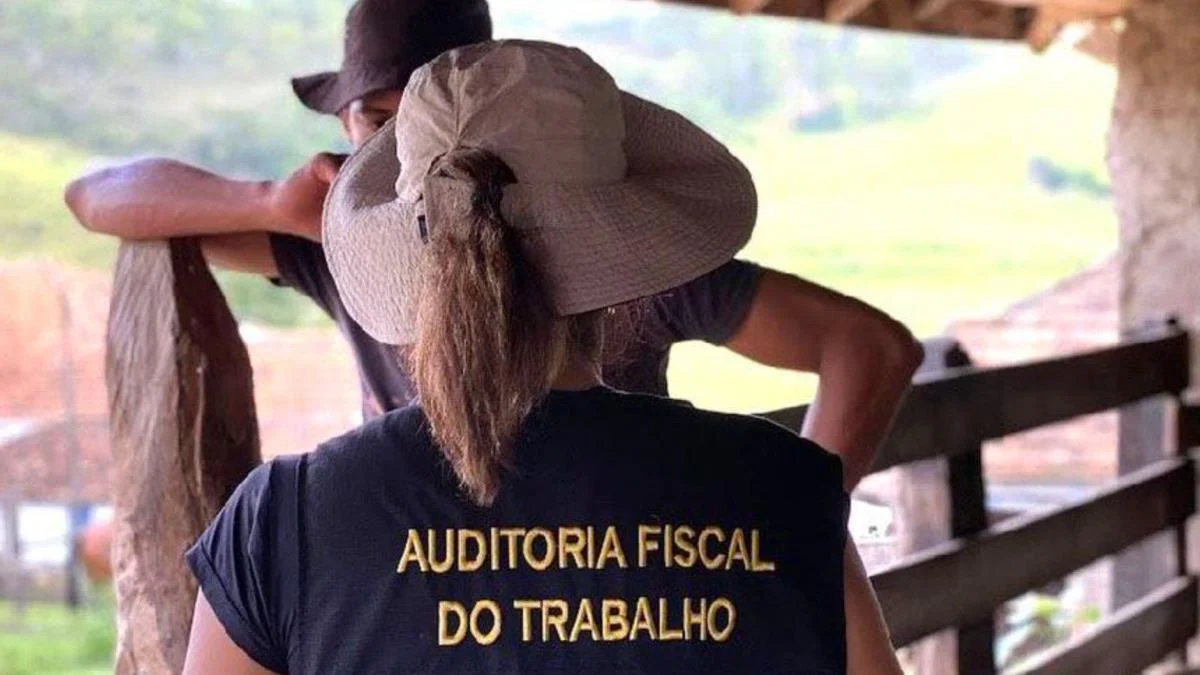 Operação resgata quase 500 trabalhadores em situação análoga à escravidão