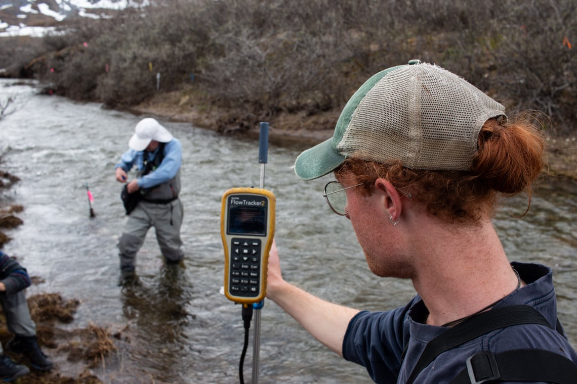 Um ecossistema ártico inteiro pode evoluir para se adaptar à crise climática?