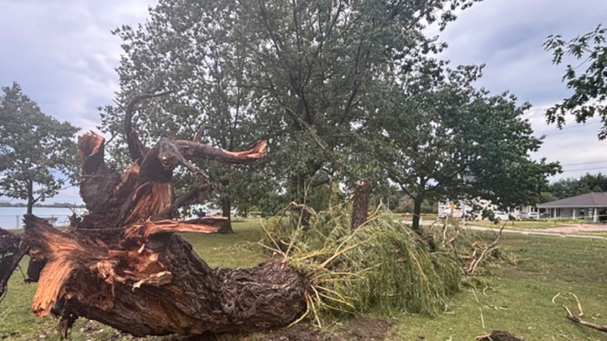 City crews tackling storm cleanup after over 1,000 requests for service