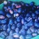 O ´´ÊXODO“ da população activa são-tomense