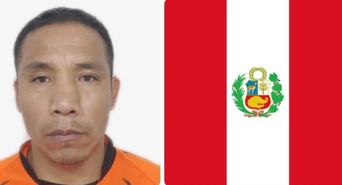 Viajante mexicano apreendido com cobras e lagartos em aeroporto alemão