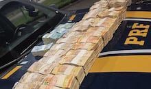 Gari fica cego ao ser atingido por pedra jogada em cachorro em MG e receberá indenização